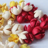 Dried Flower Raw Material DIY