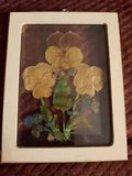 Miniature Dried Voilets In Pressed Glass Picture 4.5" X 3.5"