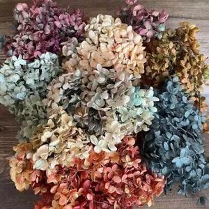 6.5g About 3~4CM Flower Petal Real Natural Fresh Preserved Flowers Dried...
