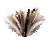 10CS Natural Dried Flowers for Home Decor Boho Bathroom Decor, Office Decor J4X8