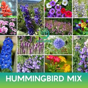 Hummingbird Wildflowers Mix Seeds