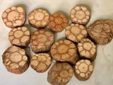 12 handcrafted wooden flowers pieces Dried Decor  floral decorations