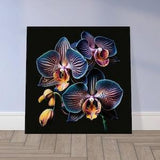 Vibrant Orchids on Black Stretched Canvas Print, Ready to Hang Wall Art, Bold Striking Floral Decor