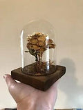 Vintage Glass Incased Flower Arrangement by Leonard Creations