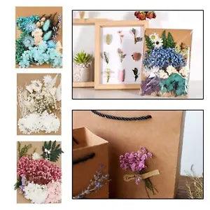 1Bag Bulk Dried Flowers Dry for DIY Scrapbooking Resin Craft Bookmark Making