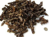 BANANA STICKS dried botanical stems floral arranging vase filler aquascape new