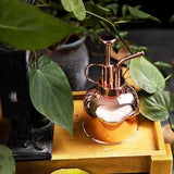 Stainless Steel Plant Misting Spray Bottle Flower Watering Can With Top Pump Indoor Succulents Orchids Spritzer Home Garden Tool