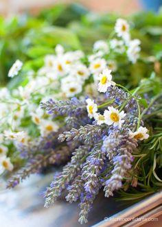 Simple Sundays | Nesting {an announcement} Flower Delivery