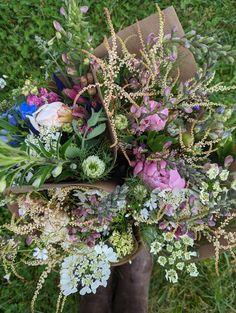 5 Perfect Perennials for Cut Flower Arrangements ??  Three Acre Farm Flower Delivery