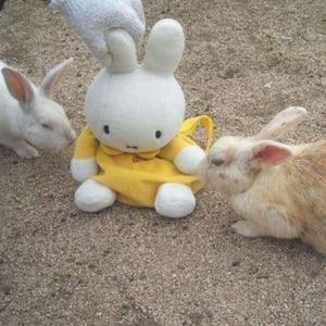 Personalized Miffy Large Custom Bunny Bouquet