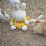 Personalized Miffy Large Custom Bunny Bouquet