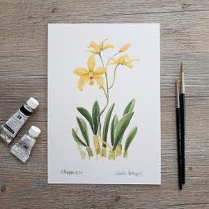 Original gouache painting "Orchid Laelia briegeri"