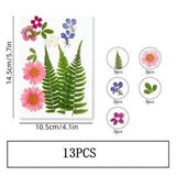 13PCS Real Pressed Dry Flower collection, pink Flower with leaf stem FSS504