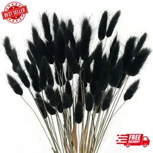 60Pcs Dried Bunny Tails Flowers Black Pampas Grass Natural Lagurus Ovatus Dried
