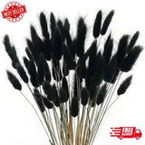 60Pcs Dried Bunny Tails Flowers Black Pampas Grass Natural Lagurus Ovatus Dried