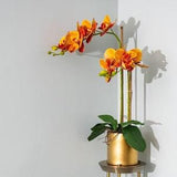 VICKY YAO Faux Floral - Exclusive Design  Orange Artificial Phalaenopsis Orchid Arrangement