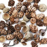 50PCS MINI Lovely Natural Dried Flower Pinecone Christmas Decorations!