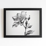 Orchid drawing black/white, flowers, decoration, blossoms
