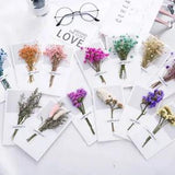 Blessing 5PC Starry After-Sales Cartoon Card Goddess Handwritten Dried Flower