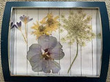 Framed pressed flower art Rose of Sharon Queen Ann??s Lace Crocus