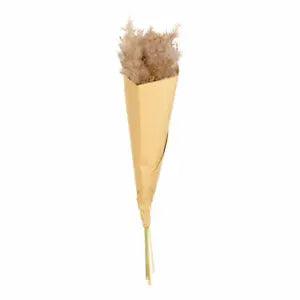 ASA Selection Pampas grass dried flower grasses decoration 35 cm Brown