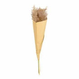 ASA Selection Pampas grass dried flower grasses decoration 35 cm Brown