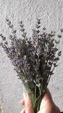 DRIED LAVENDER FLOWERS SEVTOPOLIS 15 GR NATURAL LAVENDER
