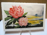 Indiana State Flower Postcard - Peony - ARTIST SIGNED: Ken Haag