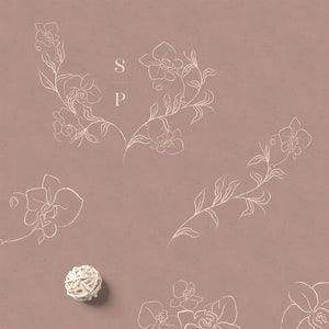 White Line Drawing Delicate Orchid Flowers Illustrations. Flowers, wreaths and frames.