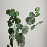 Real Touch Eucalyptus Stem - High Quality Artificial Greenery / Faux Floral / Wedding / DIY / Home Decoration / Gifts / Green