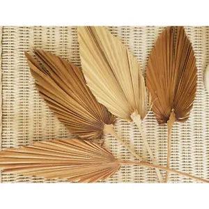 Natural Dried Flower Palm Leaf Branch Simulation Plant Bouquet DIY Home Decor