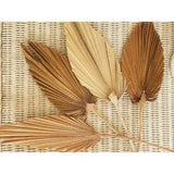 Natural Dried Flower Palm Leaf Branch Simulation Plant Bouquet DIY Home Decor