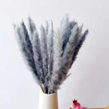 Pampas Grass Dried Flowers Bouquet Home Decoration Artificial Plants Trendy Gift