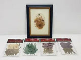 Dried Botanicals & Herbs Bundle Lot Framed and Loose Hand Pressed NEW