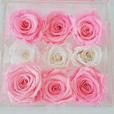 3 year roses / African Pink real preserved Eternity Roses in clear box with drawer