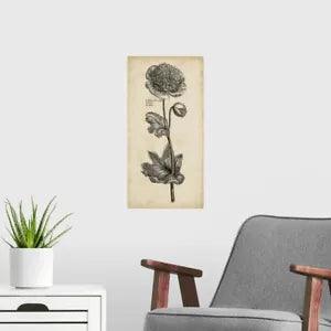 Singular Beauty I Poster Art Print, Peony Home Decor