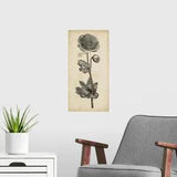 Singular Beauty I Poster Art Print, Peony Home Decor