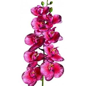 Naturalistic Moth Orchid - Phalaenopsis - Feel Like Real Orchids - Artificial Plants - Natural Terrarium, Vivarium and Aquarium Decor