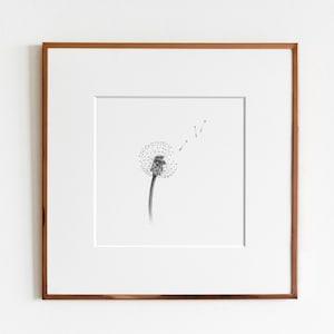 Dandelion Art Print
