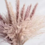 Real Wheat Decoration Natural Pampas Rabbit Tail Grass Dried Flowers For Wedding