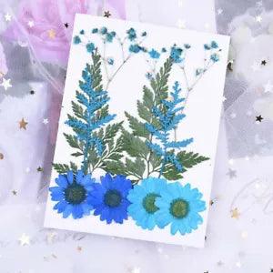 Variety of Small Pressed Dried Flowers for DIY Scrapbooking Art Craft Decoration