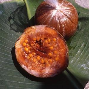 Alibertia Patinoi Borojoa Patinoi, boroj??, head-fruit, shaped-fruit - 10 Seeds