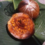 Alibertia Patinoi Borojoa Patinoi, boroj??, head-fruit, shaped-fruit - 10 Seeds