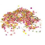 200pc Real Dried Flowers For DIY Art Craft Epoxy Resin Candle Making...