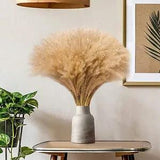 120 Pcs Natural Dried Pampas Grass Home Wedding Flower Bunch Flower Arrangements