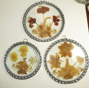 DRIED FLOWER Pressed Glass Metal Hanging Window Decor Pictures