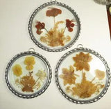 DRIED FLOWER Pressed Glass Metal Hanging Window Decor Pictures