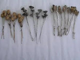 Faux Artificial Dried Flower Seed Pod Stems, Lot A