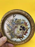 Vintage Dried Pressed Flower Wall Art  Retro Decor Framed Signed