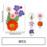 9PCS Real Pressed Dry Flower collection, orange Flower with leaf stem FSS501